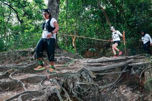 BIB: 
                            <button type="button" onclick="openModal(27720505)" class="btn btn-primary btn-sm float-right btn-popup" data-toggle="modal" data-target=".modal-high-quality">
                        <i class="fas fa-shopping-cart"></i> Add to Cart
                    </button>
                                            <button type="button" onclick="isThisMe(27720505, true)" class="btn btn-success btn-sm float-right btn-popup btn-isme hidden" data-toggle="tooltip" data-placement="bottom" title="นี่คือรูปของคุณใช่ไหม คลิกที่นี่เพื่อเอาเข้าอัลบั้ม">
                        <i class="fas fa-plus"></i> Add to album
                    </button>
                    <button type="button" onclick="isThisMe(27720505, false)" class="btn btn-warning btn-sm float-right btn-popup btn-isnotme hidden">
                        <i class="fas fa-ban"></i> Remove from album
                    </button>